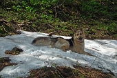 24 sulla neve